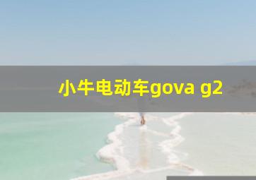 小牛电动车gova g2